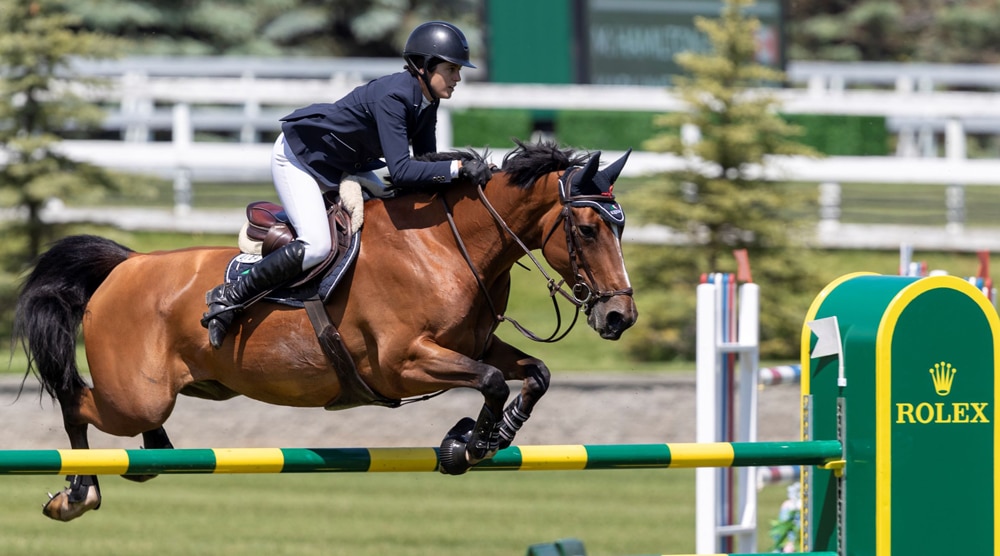 A woman jumping a bay horse over a fence at Spruce Meadows.
