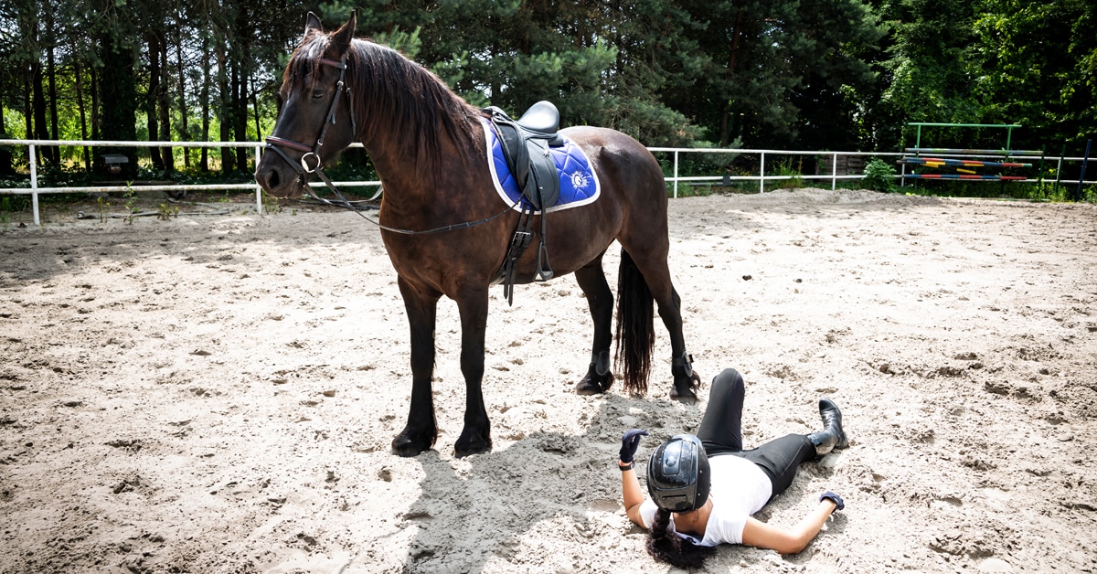 A rider sitting on the ground after falling off her horse.