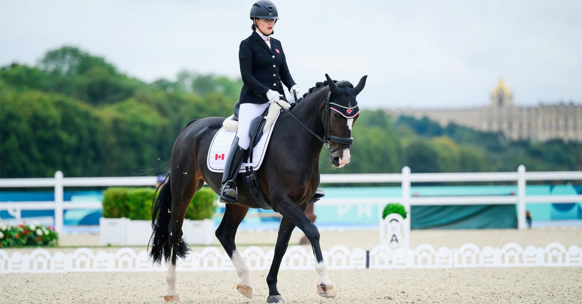 A woman riding a black horse in para-dressage competition.