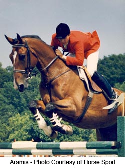 Aramis___Photo_courtesy_of_Horse_Sport___web.jpg